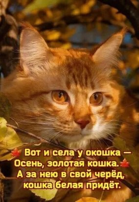   - 11  2023  22:40