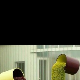 ����, ������, 32 ����