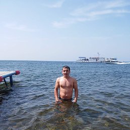Hamid, �����������, 38 ���