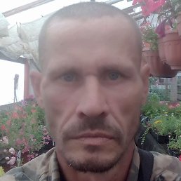 ������, ������, 46 ���