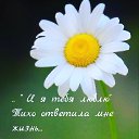 ���� ����, �����-���������, 39 ��� - ��������� 11 ������� 2023