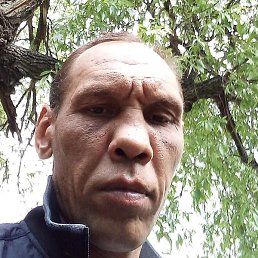 ��������, ������, 46 ���