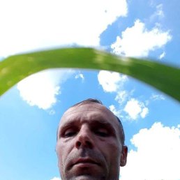 ���� �������, ������, 45 ��� - ��������� 19 ���� 2023