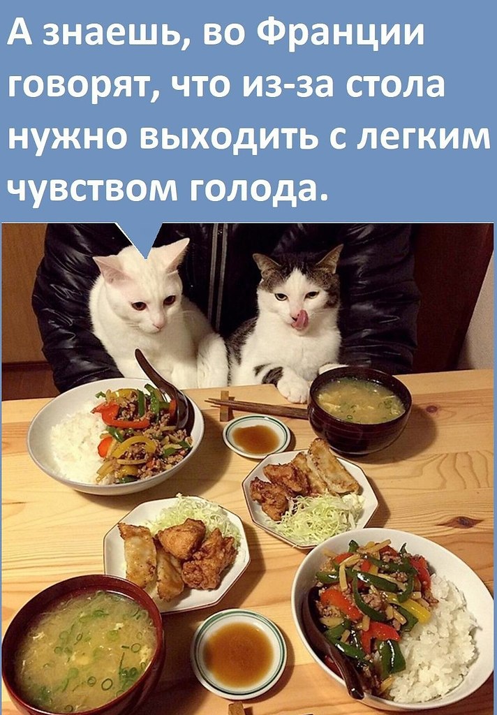  .,    !
