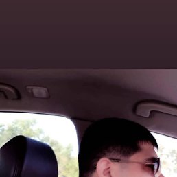 ������, ��������, 41 ���