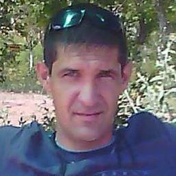 ������, ������, 40 ���