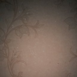 ���� ���, ����, 33 ���� - ��������� 25 ��� 2023