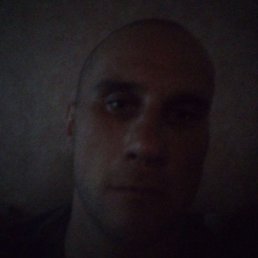 ����, ������, 41 ���