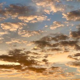 �����, �����, 38 ���