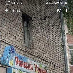 ��������, �����, 52 ����