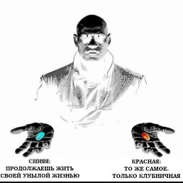 ���� ���������, �����������, 42 ���� - ��������� 8 ������� 2023