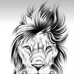 ���� ����, ������, 24 ���� - ��������� 8 ��� 2023