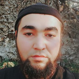 Timur, ��������, 37 ���