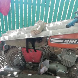 ���� ��, �������, 44 ���� - ��������� 6 ������� 2023