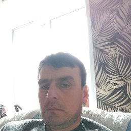 �����, �����-���������, 43 ����