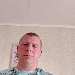 ������, �������, 37 ���