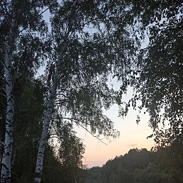 ���� �������, �������, 46 ��� - ��������� 25 ������ 2023