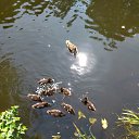  , -, 43  -  28  2023