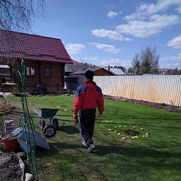 �����, ������, 61 ���