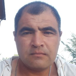 �����, ������, 38 ���