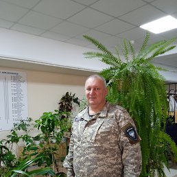 ���� �����, �����������, 48 ��� - ��������� 10 ���� 2023