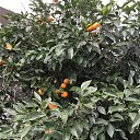 ���� N, ������, 54 ���� - ��������� 18 ��� 2023 � ������ ���� ����������
