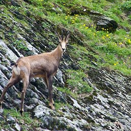 ���� �������, �������, 59 ��� - ��������� 23 ������ 2023