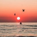 ���� �����, ����������, 53 ���� - ��������� 12 �������� 2023