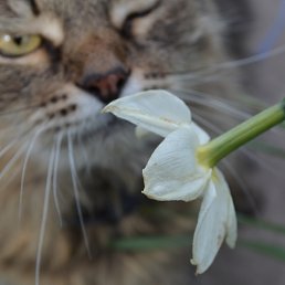 ���� �����, ��������, 34 ���� - ��������� 17 ����� 2023