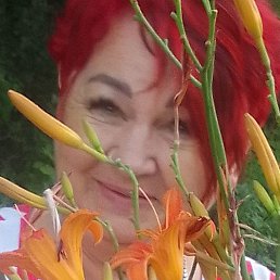 �����, �������������, 61 ���