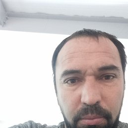 ���, ������, 44 ����