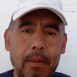 �����, ������, 54 ����