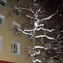 ���� �����, �������������, 67 ��� - ��������� 25 ���� 2023 � ������ ���� ����������