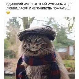 �������, ������, 44 ����