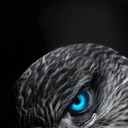 ������, �����, 50 ���