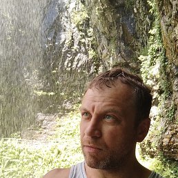 �����, ������, 46 ���