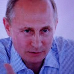 �, �����, 50 ���