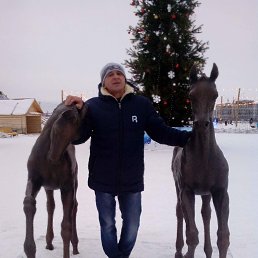 ���� ������, �����-���������, 58 ��� - ��������� 25 ������� 2023