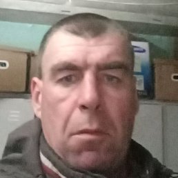 �����, ���������, 51 ���