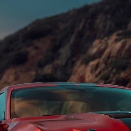 �����, ������, 46 ���