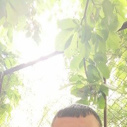 ���� ���, ������, 41 ��� - ��������� 29 ������� 2023