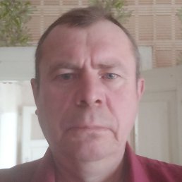 �������, ������, 37 ���