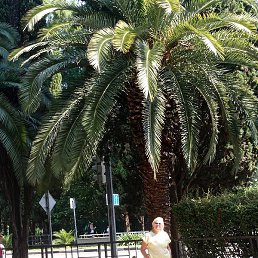 �����, ������, 58 ���