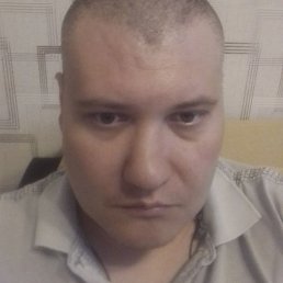 �����, ������, 41 ���