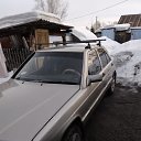 ���� ��������, ������, 37 ��� - ��������� 11 ����� 2023 � ������ ���� ����������