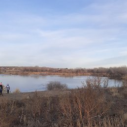 �������, ����, 37 ���