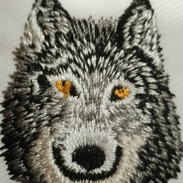 ���� ������, �����, 38 ��� - ��������� 13 ������� 2023