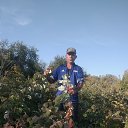 ���� ������, ������, 52 ���� - ��������� 5 ������� 2023 � ������ ���� ����������