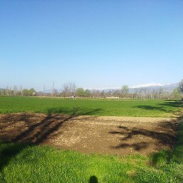 ���� �����, �������, 38 ��� - ��������� 21 ����� 2023