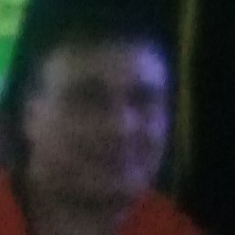 �������, ������, 41 ���